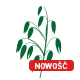owies nowy