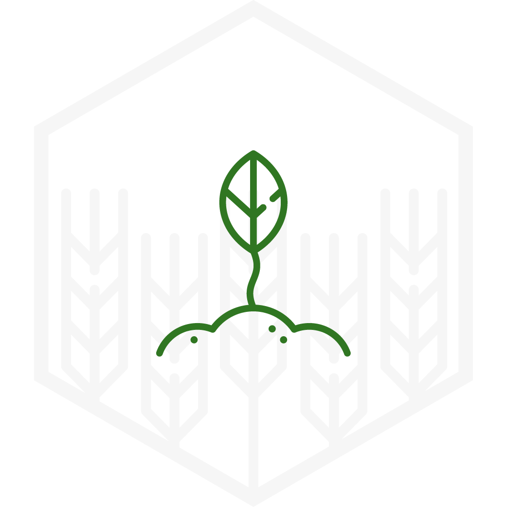 ikony dzialow_nasiona